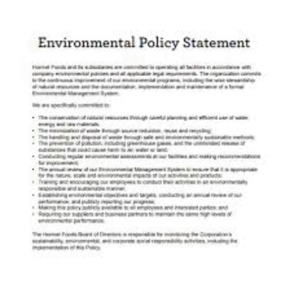 Environment Statement