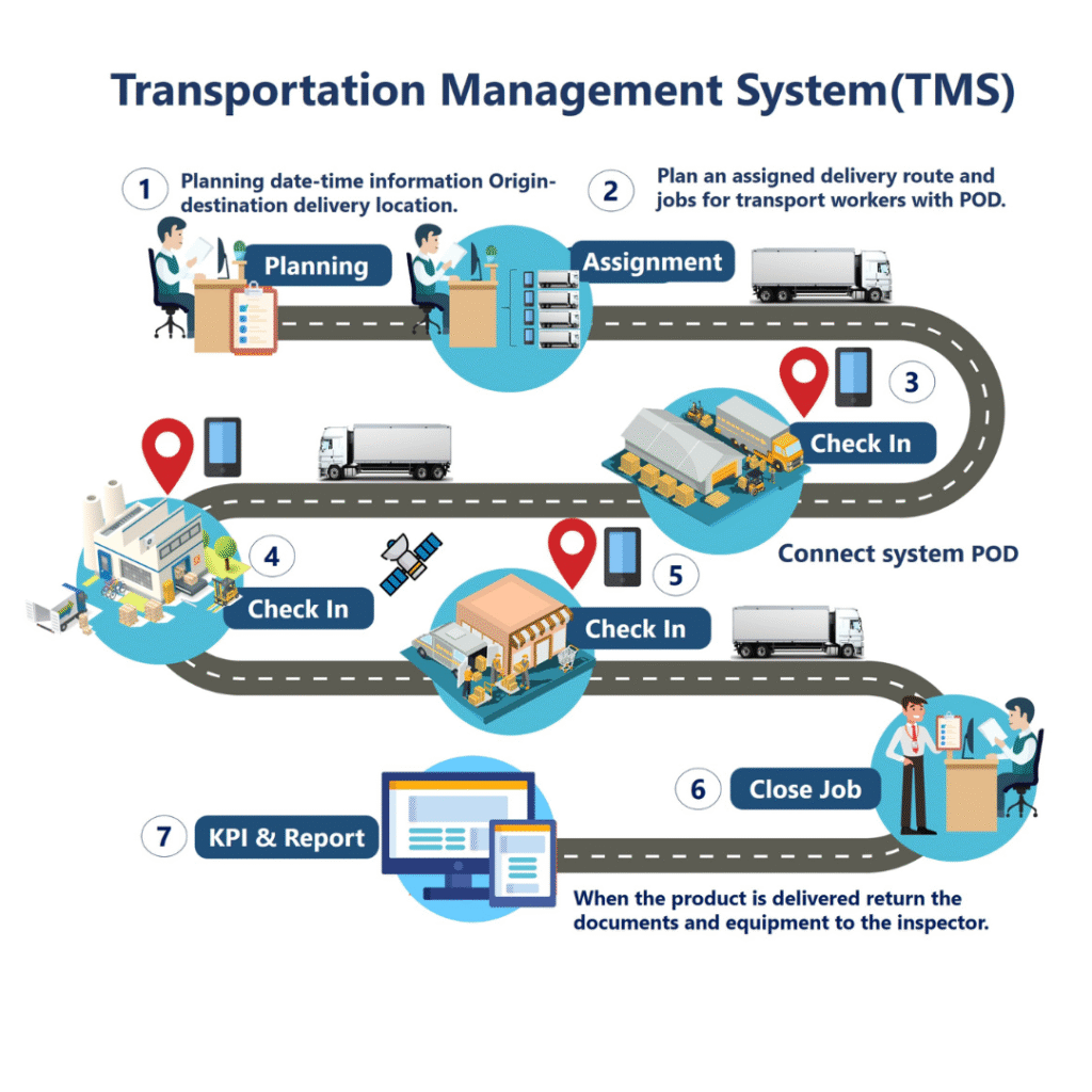 TMS